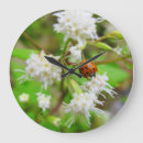 Buscar mariquita relojes de pared Lindo