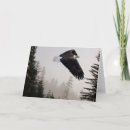 Buscar águilas calvas tarjetas Invierno