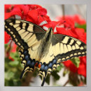 Buscar gigantes posters Mariposa