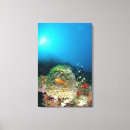 Buscar maldivas lienzos Subacuático