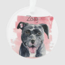 Buscar americanos adornos Perros