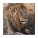 Buscar lion azulejos Animal