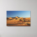 Buscar sossusvlei Naturaleza