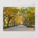 Buscar new postales Parque central