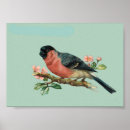 Buscar vintage bird arte Aves