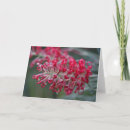 Buscar biberón tarjetas Mamá