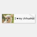 Buscar perro lindo pegatinas parachoque Chihuahua