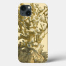 Buscar algas marinas fundas Kelp