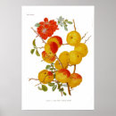 Buscar membrillo posters Floral