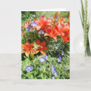 Buscar lillies tarjetas Lilas