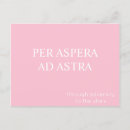 Buscar sabiduría postales Rosa