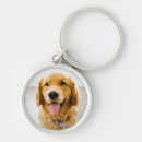 Buscar golden retriever llaveros Lindo