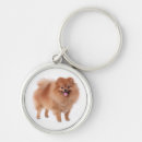 Buscar pom llaveros Perro