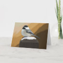 Buscar chickadee tarjetas Pintar