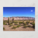 Buscar argentino fotografía Cactus