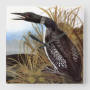 Buscar audubon relojes de pared Pájaros de américa