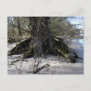 Buscar pérdida postales Naturaleza