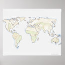 Buscar cartografía posters Mapa del mundo