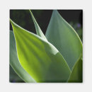 Buscar vida vegetal imanes Verde