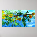 Buscar rama de árbol posters Para ellos