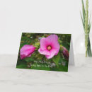 Buscar rosa de sharon tarjetas Floral