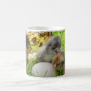 Buscar pollito tazas Primavera