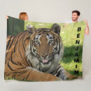 Buscar gatos mantas cobertores Tigre