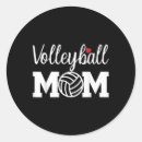 Buscar volleyball postales 6 º mamarrera