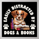 Buscar lector fácil Lectura
