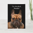 Buscar bouledogue Cachorro
