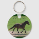 Buscar warmbloods Caballos