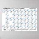 Buscar hiragana arte Estudio