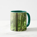 Buscar musgo tazas Bosque