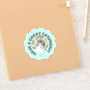 Buscar foto del gato pegatinas General y unisex