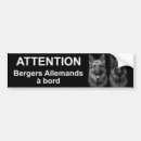 Buscar allemande Berger allemand