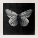 Buscar fondo negro puzzles Insecto