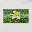 Buscar plumeria tarjetas de visita Blanco