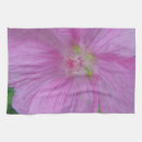 Buscar blüte 6 º roca