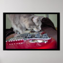 Buscar guitar posters Photography