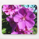 Buscar el calmar electronica Floral