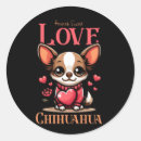 Buscar amor chihuahua pegatinas Adorable