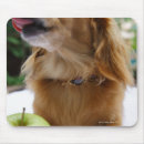 Buscar singapur alfombrillas de raton Mamífero