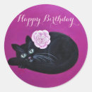 Buscar gatito kat Rosa
