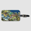 Buscar pez papagayo Coral