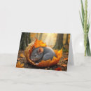 Buscar ratones tarjetas General y unisex