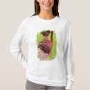 Buscar etrusco camisetas Chalet