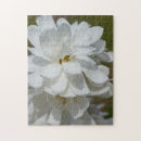 Buscar magnolia blanca puzzles Botánico