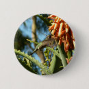 Buscar garganta chapas Vida silvestre