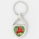 Buscar septentrional llaveros Cardinal
