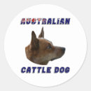 Buscar ganado pegatinas Heeler azul